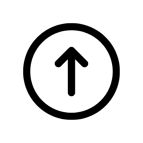 snowflake sweatshirt