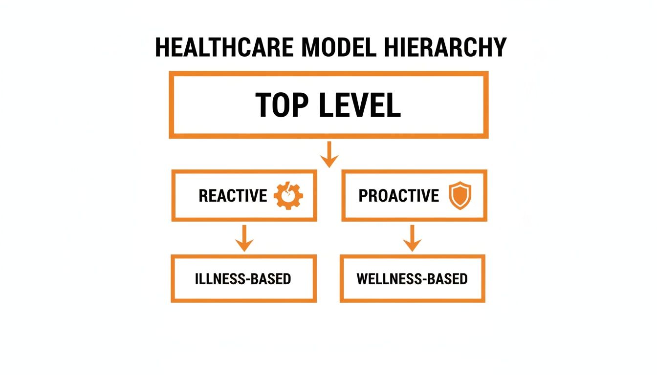 A healthcare model hierarchy diagram showing top level branching to reactive (illness-based) and proactive (wellness-based).
