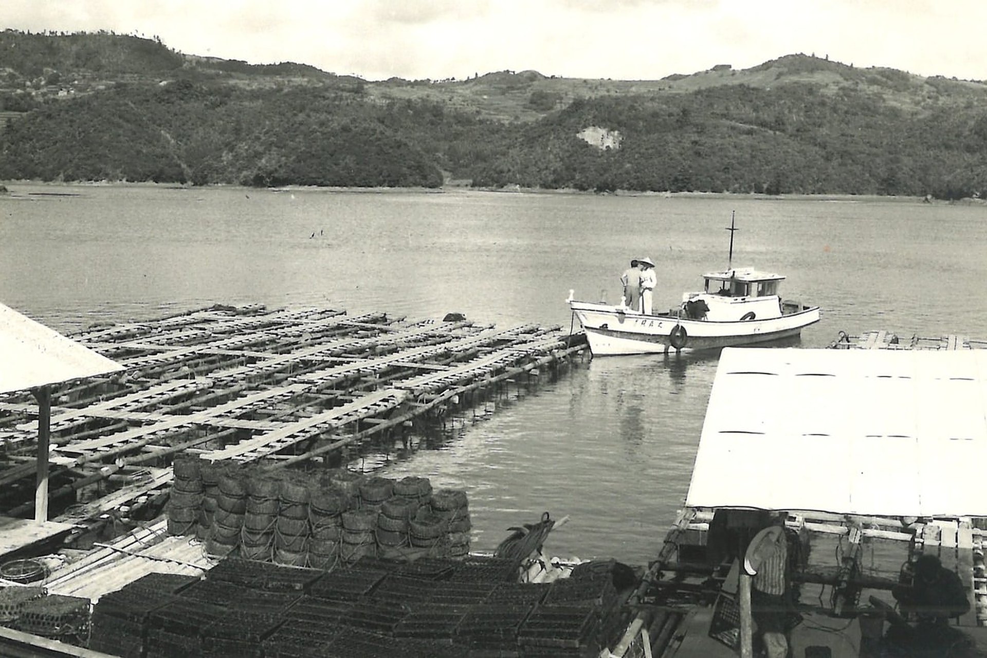 Des radeaux de perliculture alignés dans une baie, sur une photo d'archive, là où l'on élève les huîtres qui donnent les perles de culture
