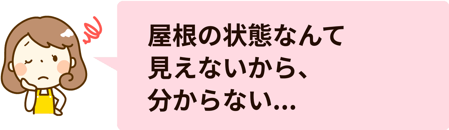 屋根の状態なんて見えないから、分からない...