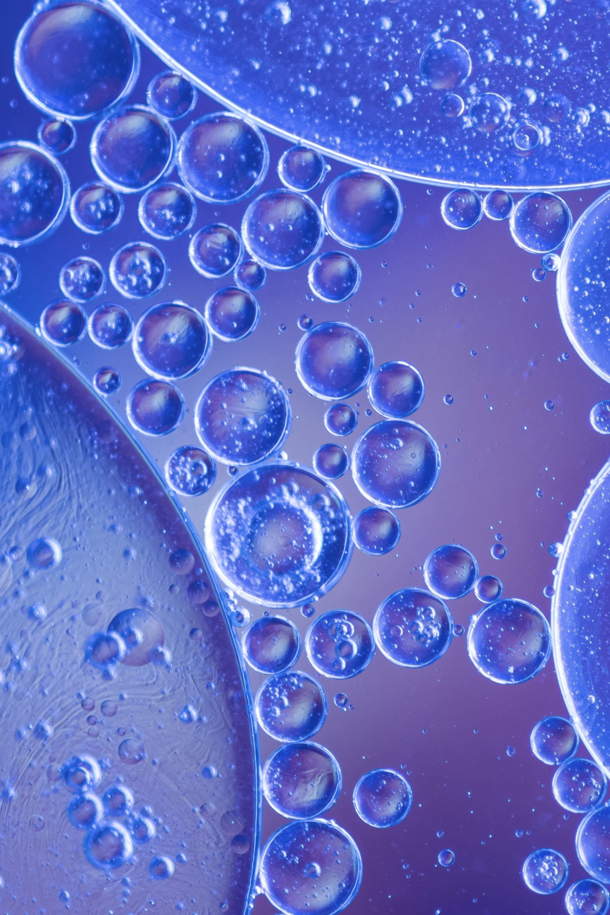 Close-up of blue and purple oil droplets in water