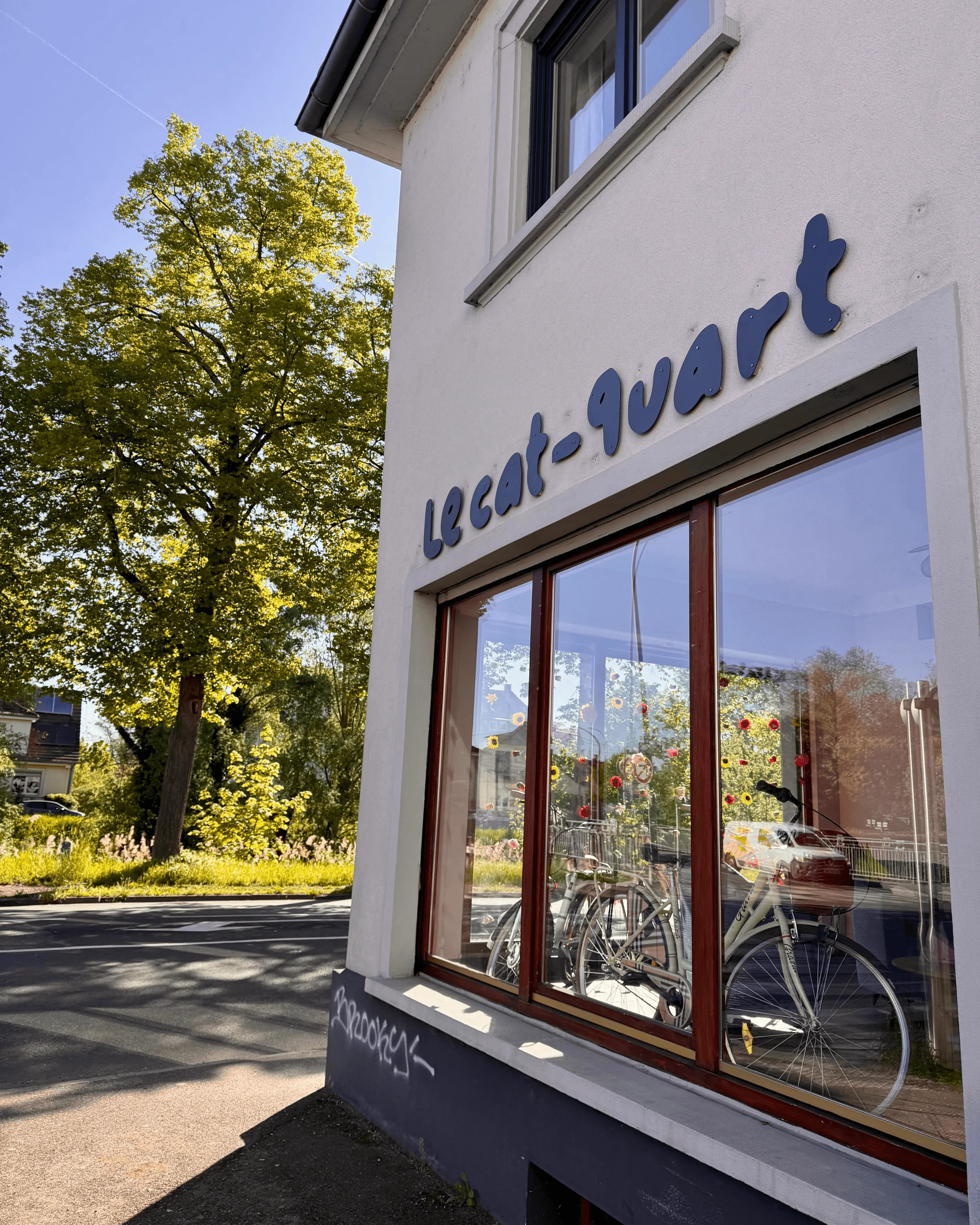 cafe-exterieur-cat-quart