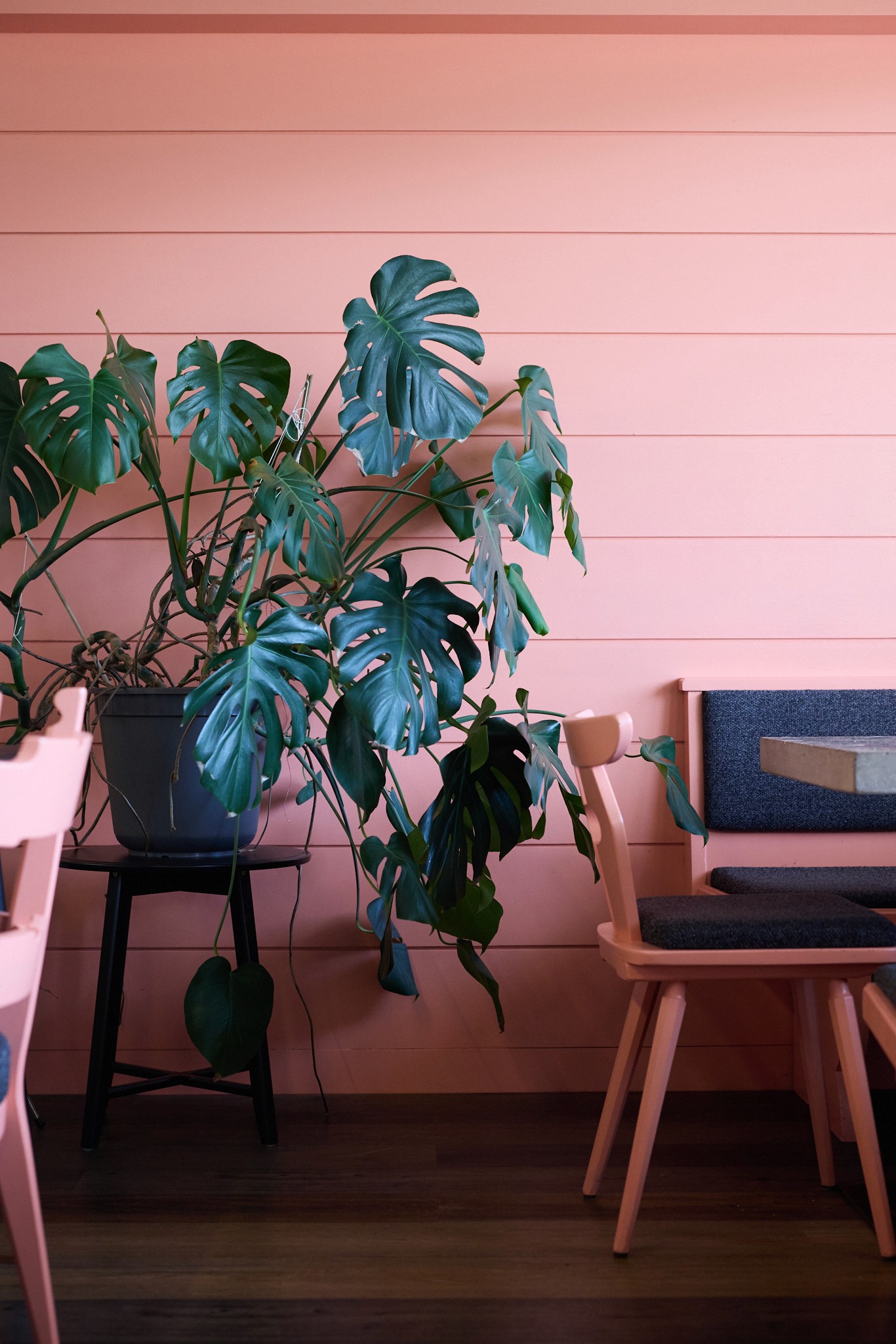 mountain village shot from the top