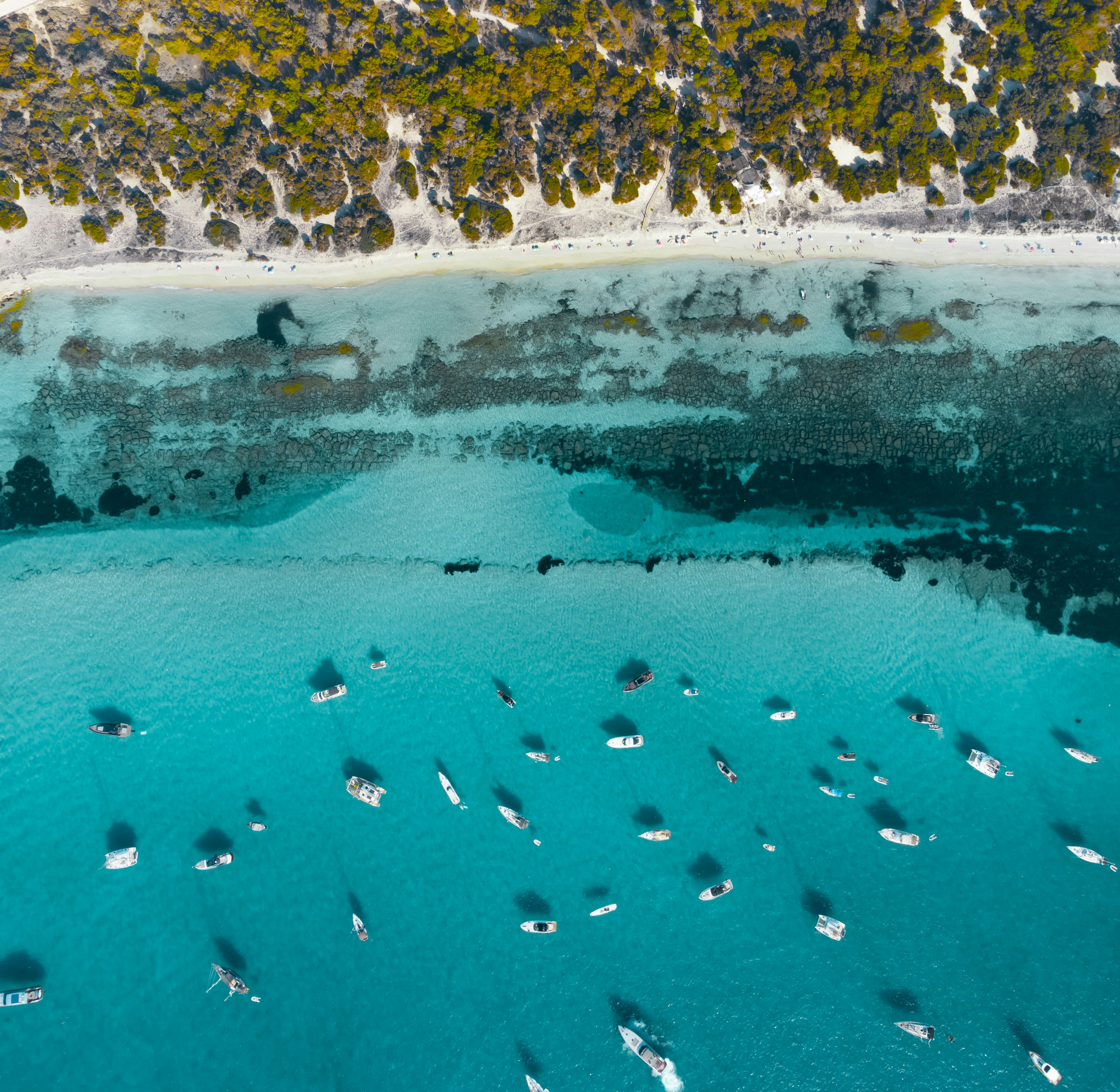 A group of boats floating on top of a body of water