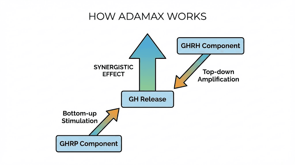how adamax works
