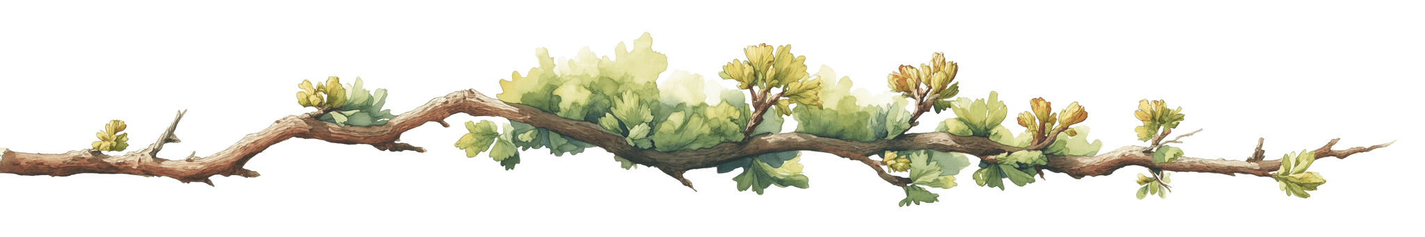 Otium Spa - Relax nella Costiera Amalfitana