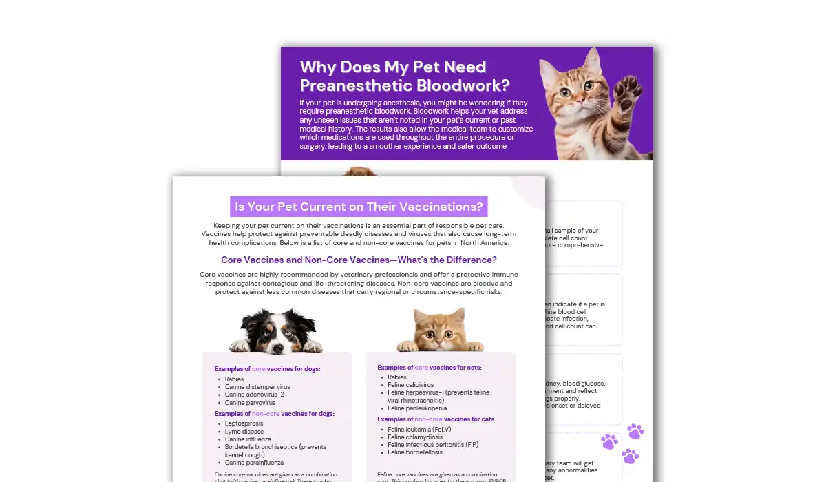 Ultimate Client Education Handouts