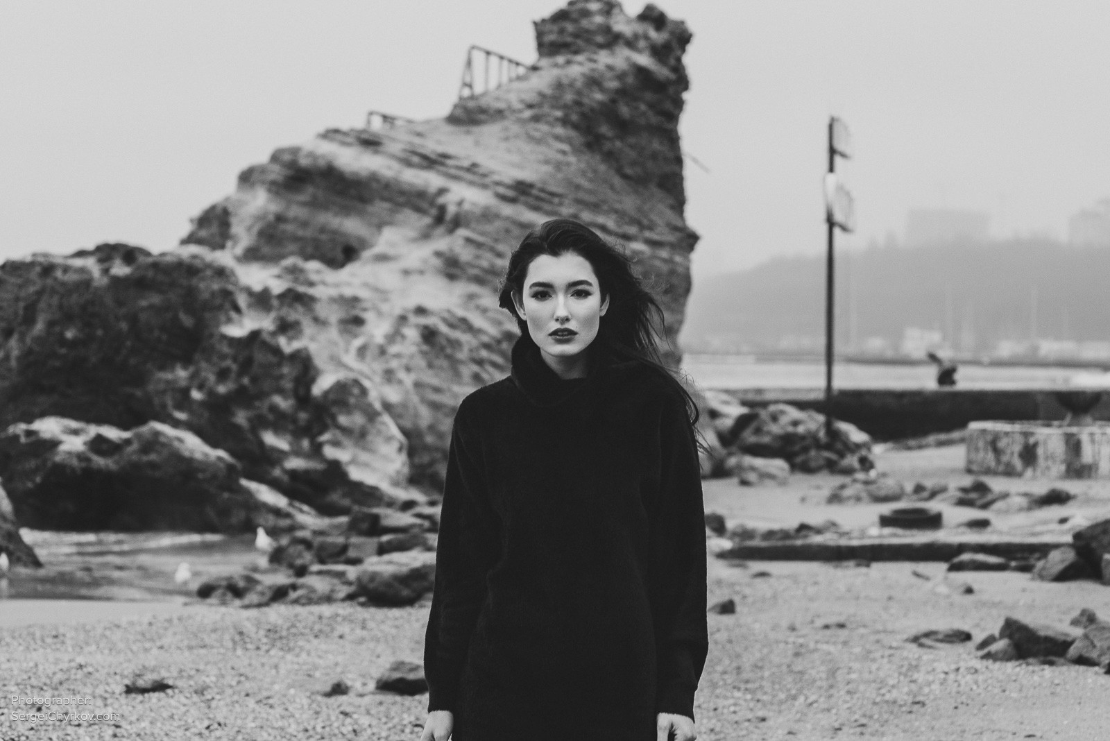 Seagulls by Sergei Chyrkov