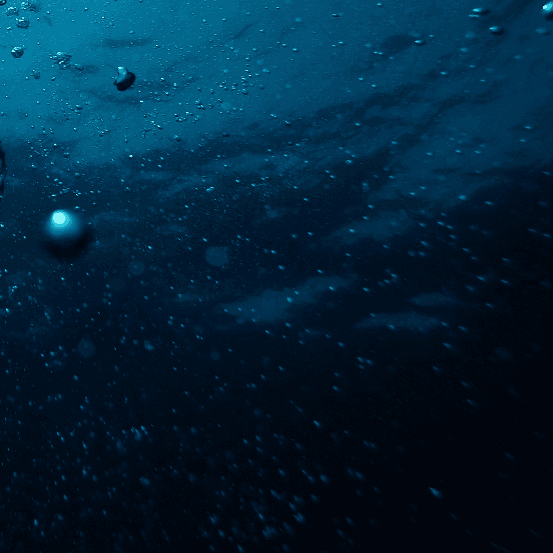 Laptop showing Bloomy UI