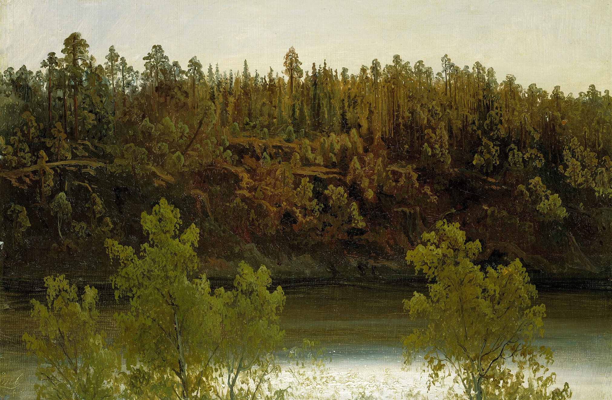 Swedish Lake. Study (1853)