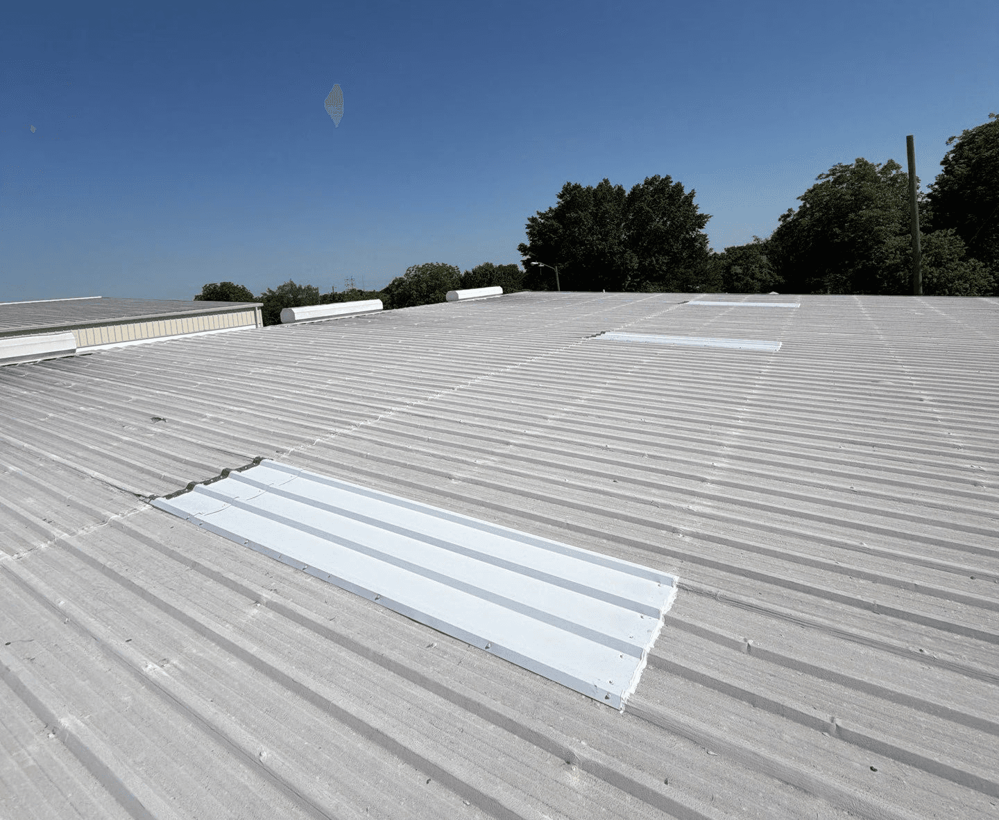 Roof Age related deterioration in Commercial Roof. Granular loss and wear of asphalt shingles. 