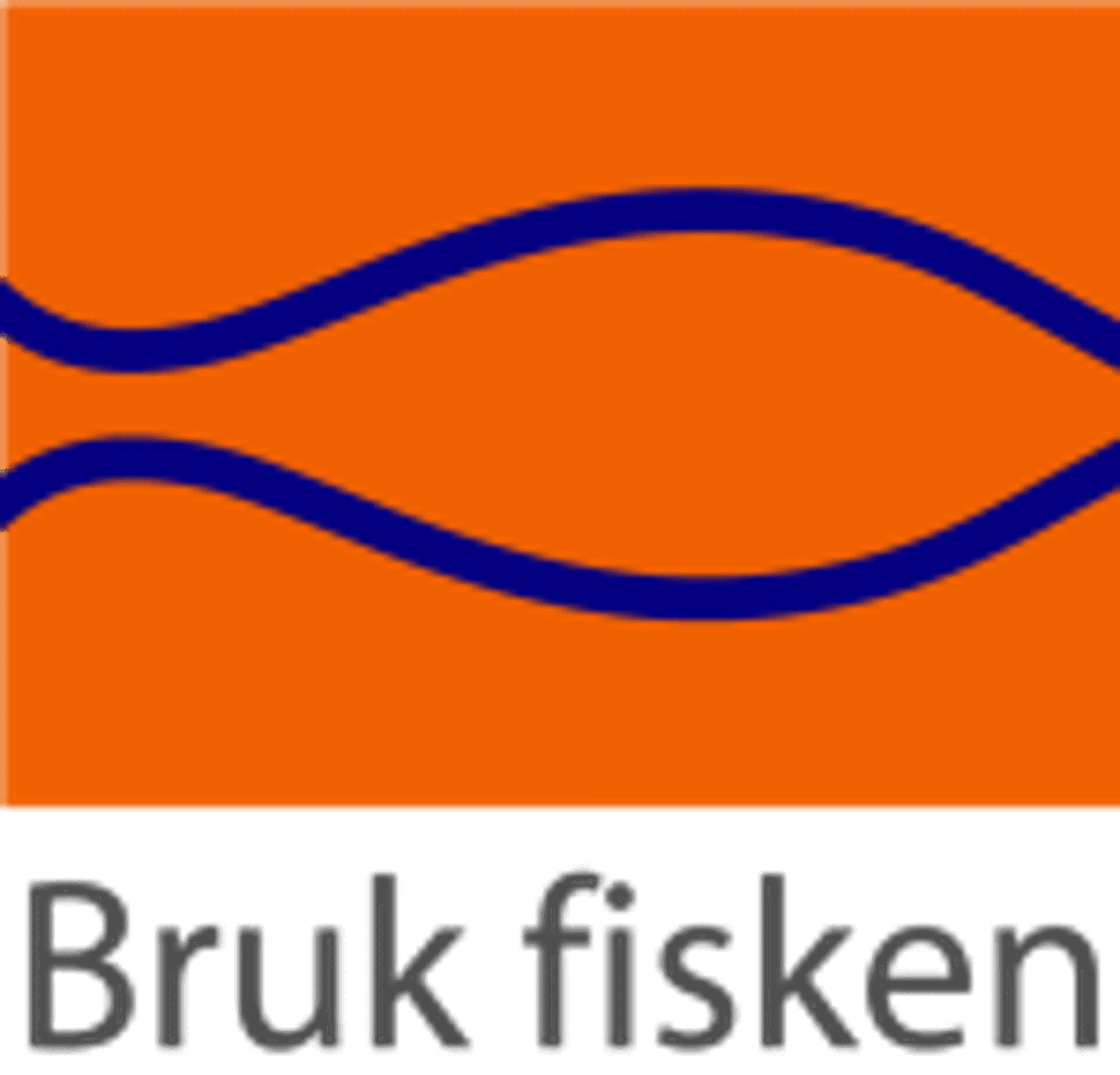 Logo Bruk fisken