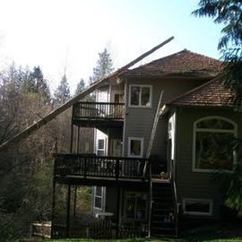 Emergency Tree Service