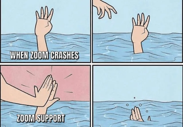 37 Zoom memes that made us cry