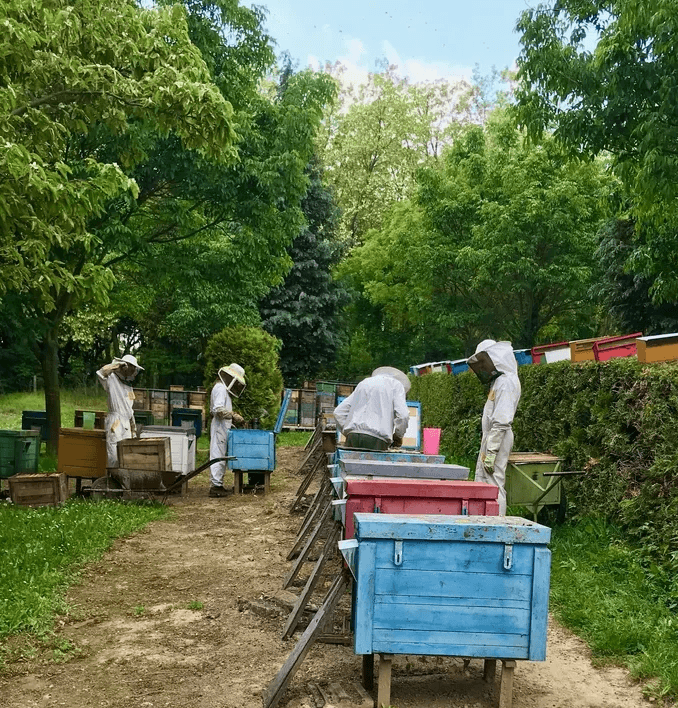 A Bazsó Méhészetnél mi a természetből alkotunk és szívből adunk.