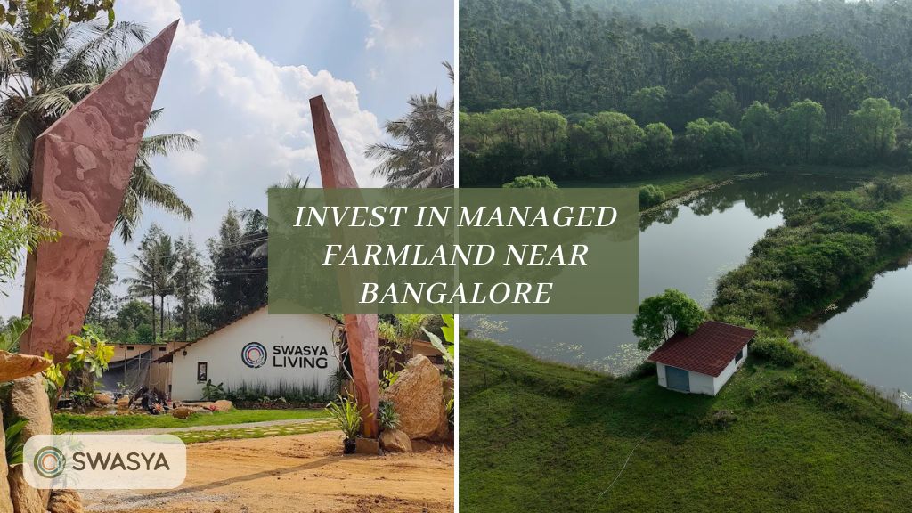 Why to Invest in Managed Farmland In Swasya near Bangalore