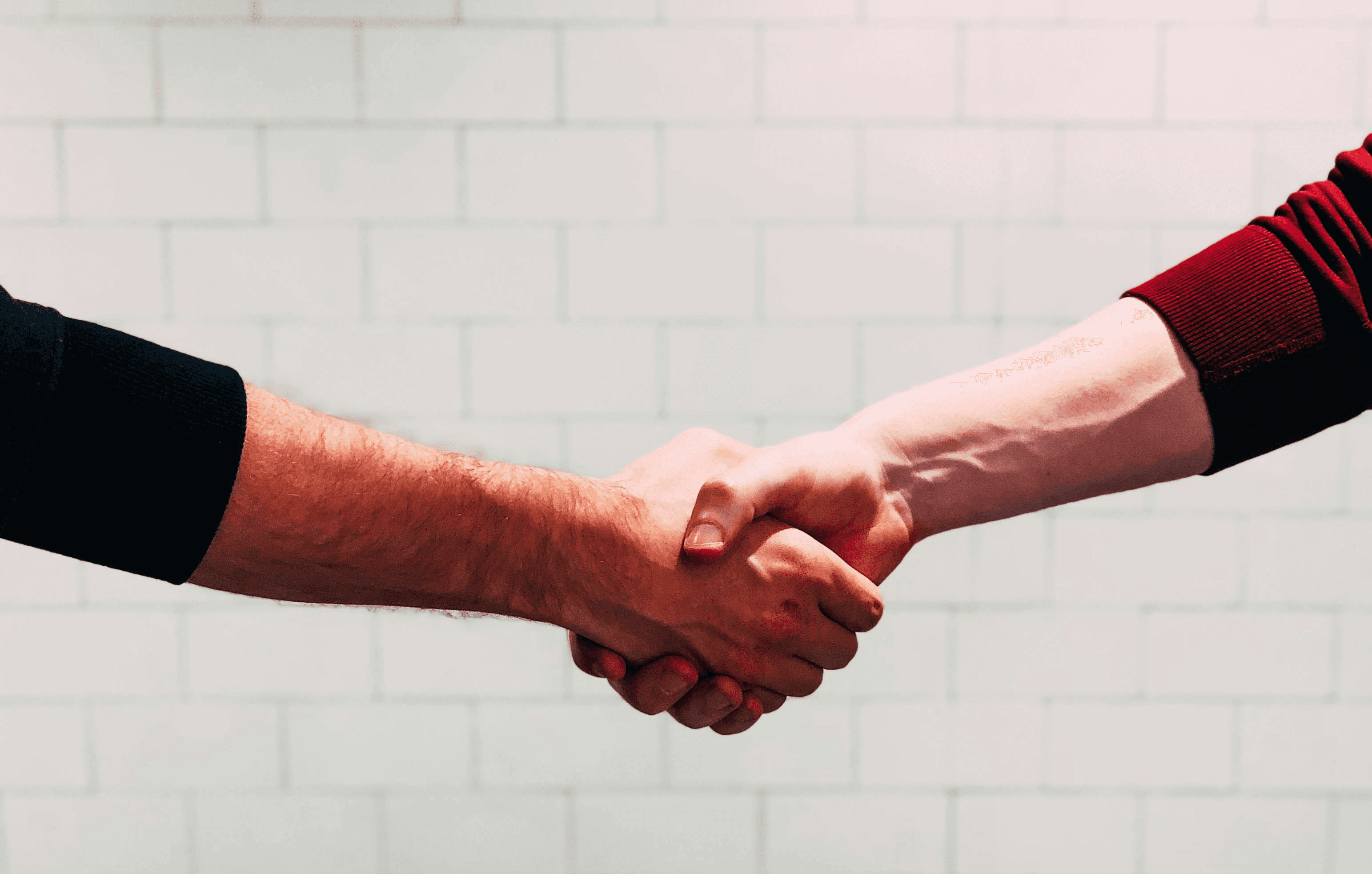 two person shaking hands near white painted wall