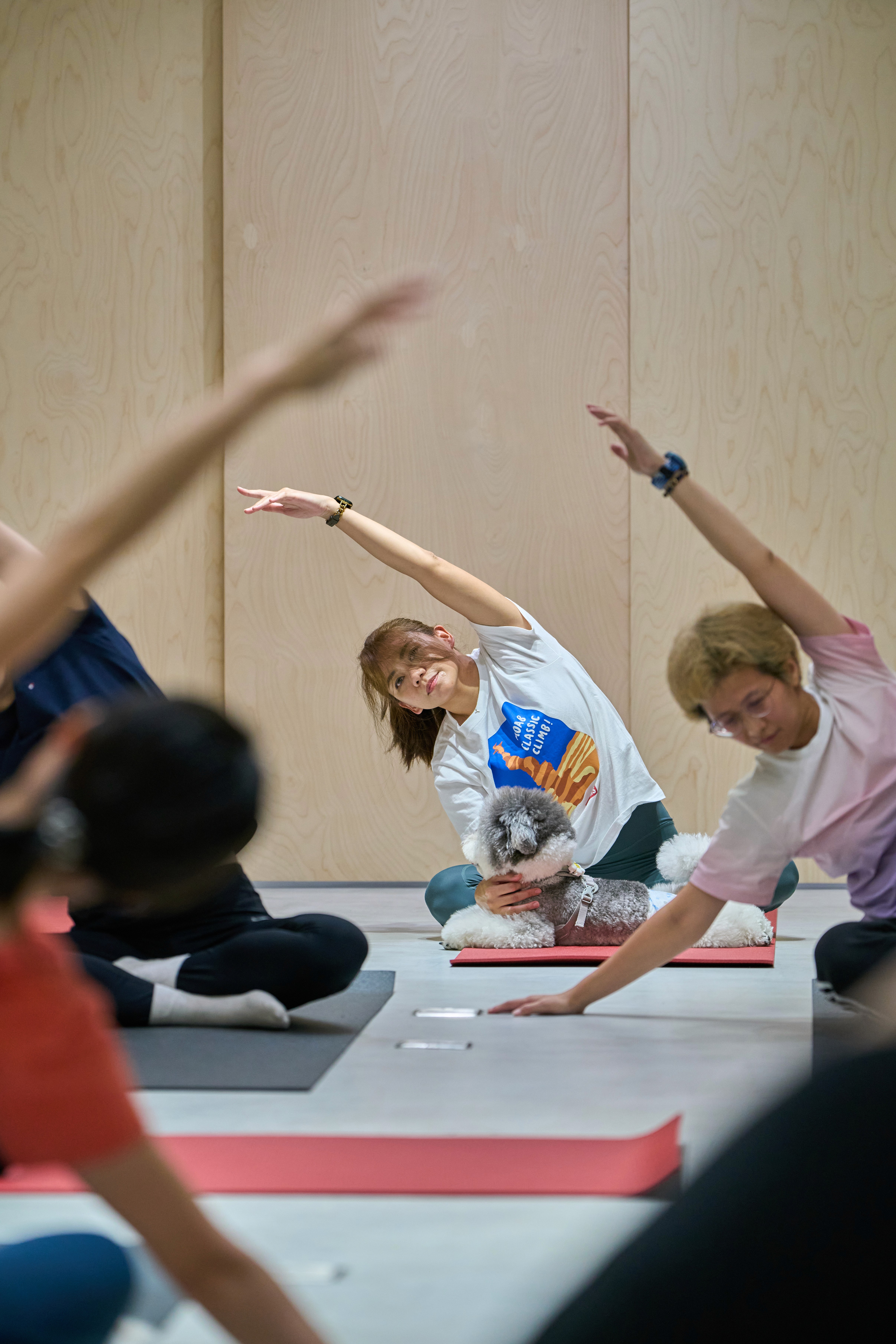 close-up image of a guys shirt wearing a lanyard