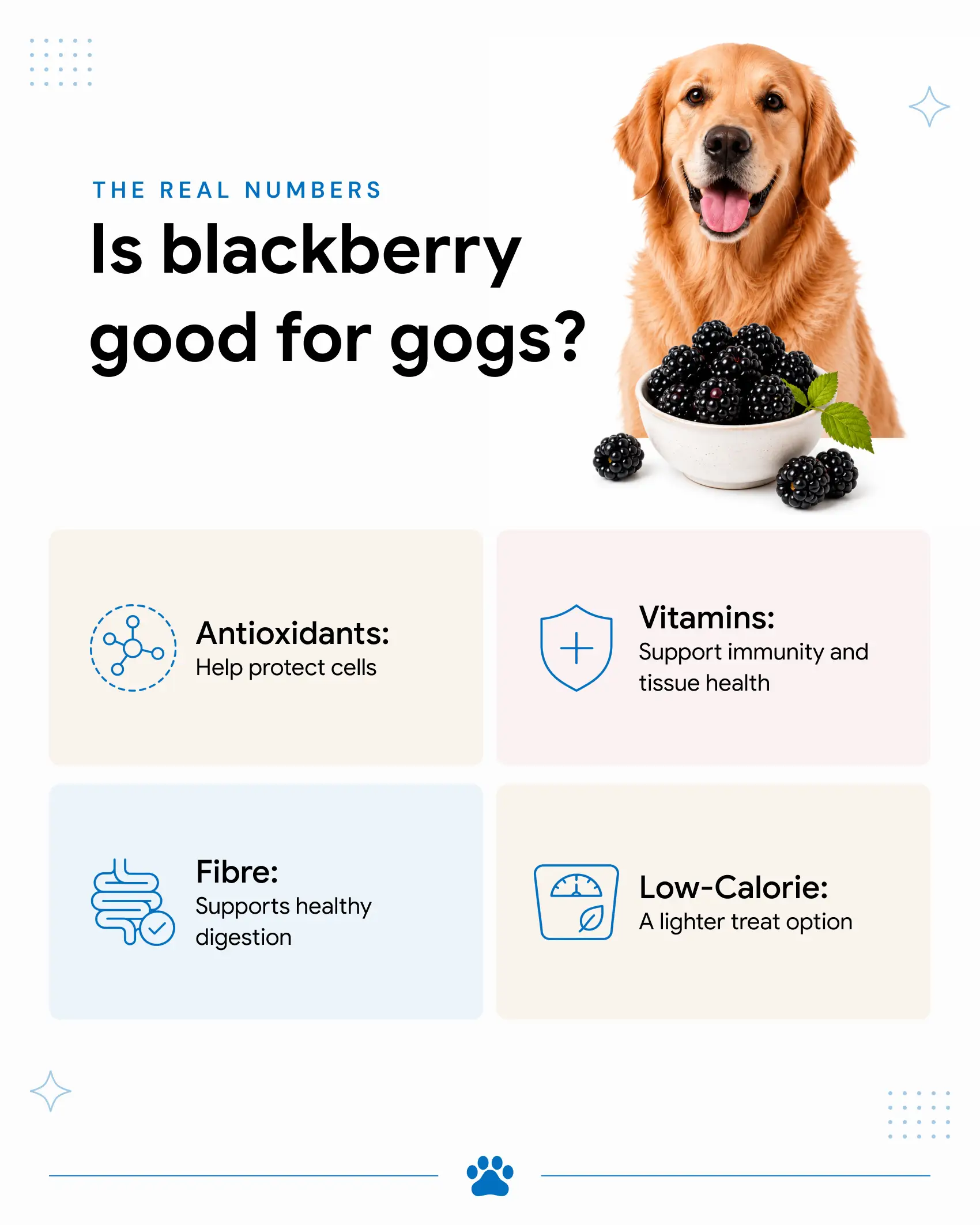 An image showing the benefits of blackberries for dogs.