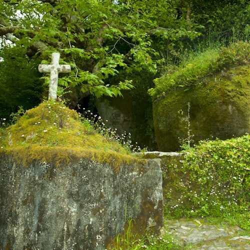 青翠的环境中，长满苔藓的石质十字架，背景是大块岩石和茂密的树叶。