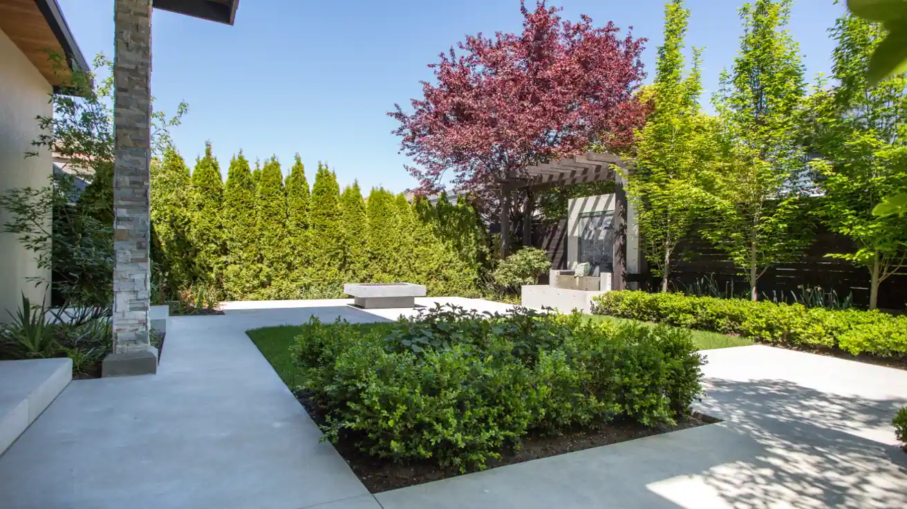 Custom home backyard featuring mature landscaping, modern concrete pergola, water feature, lush greenery, and privacy hedges in Richmond