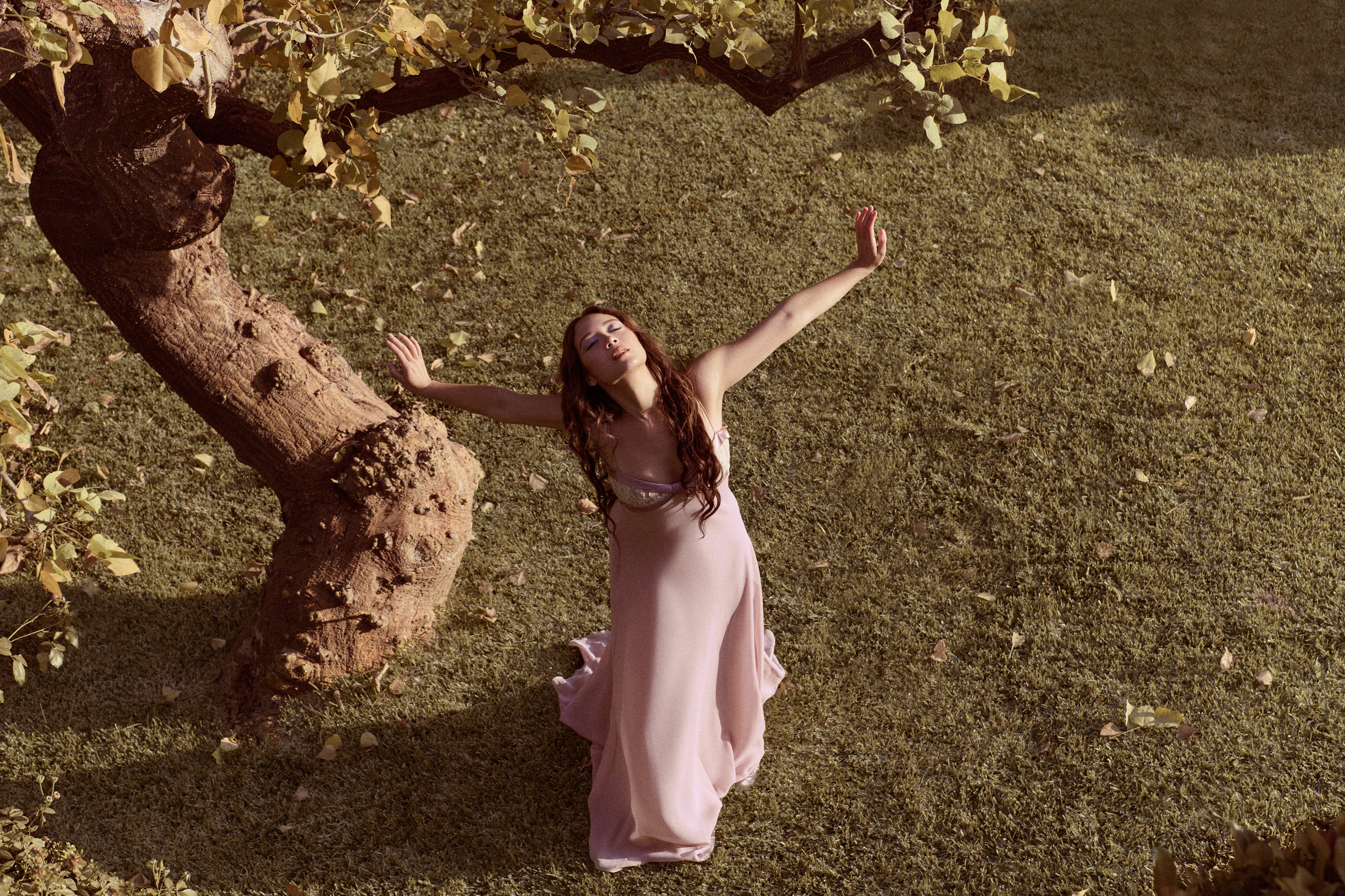 Laufey playing at Taste of Iceland festival in Seattle November 2, 2021.