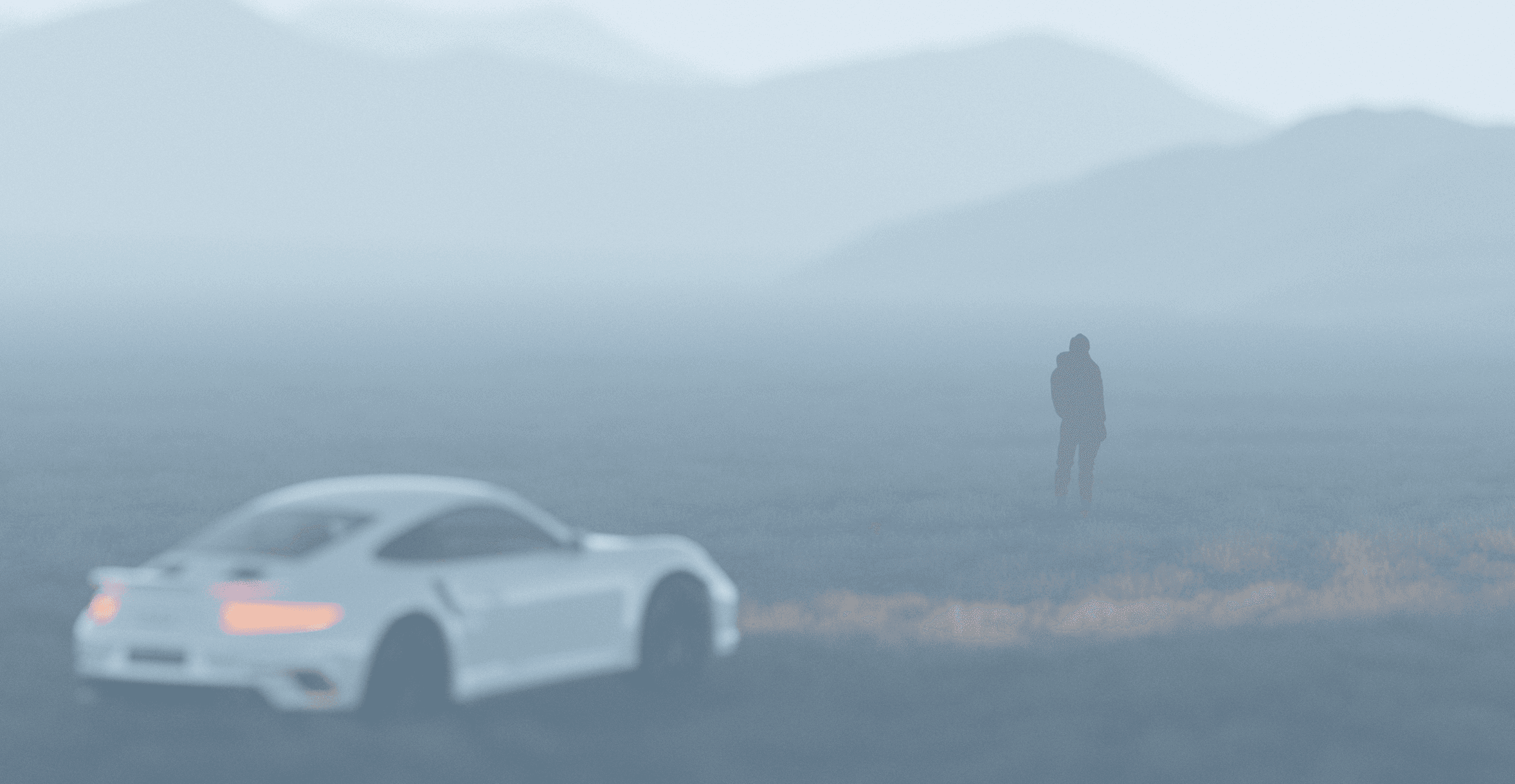 Guy in a foggy field