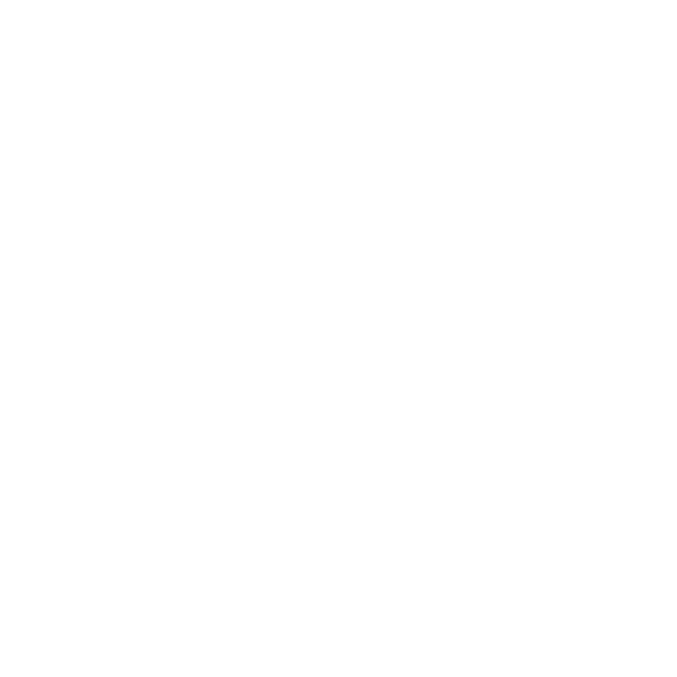 Why Choose Icon