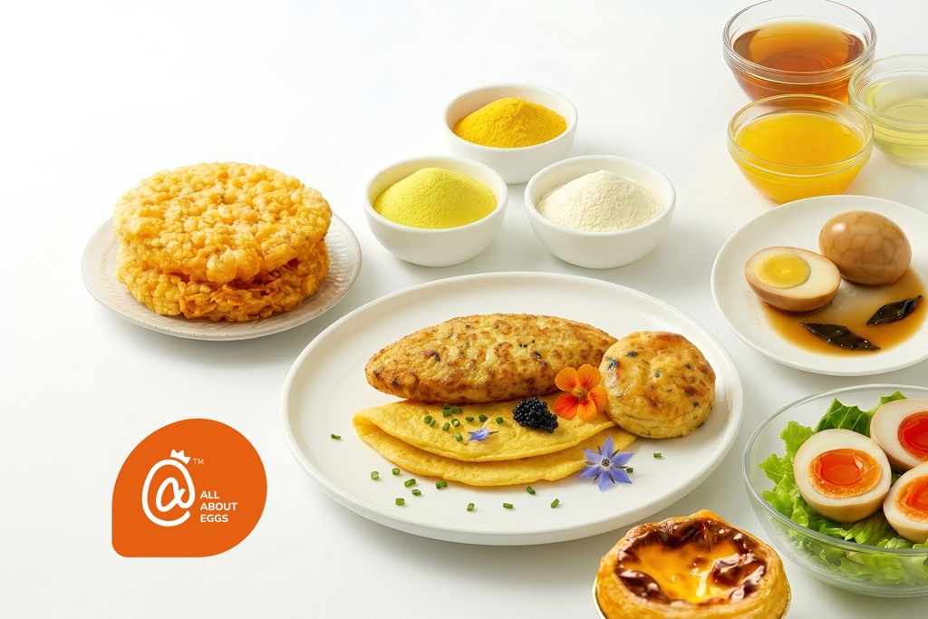 Reliable Egg Solutions for Food Businesses I jinyi