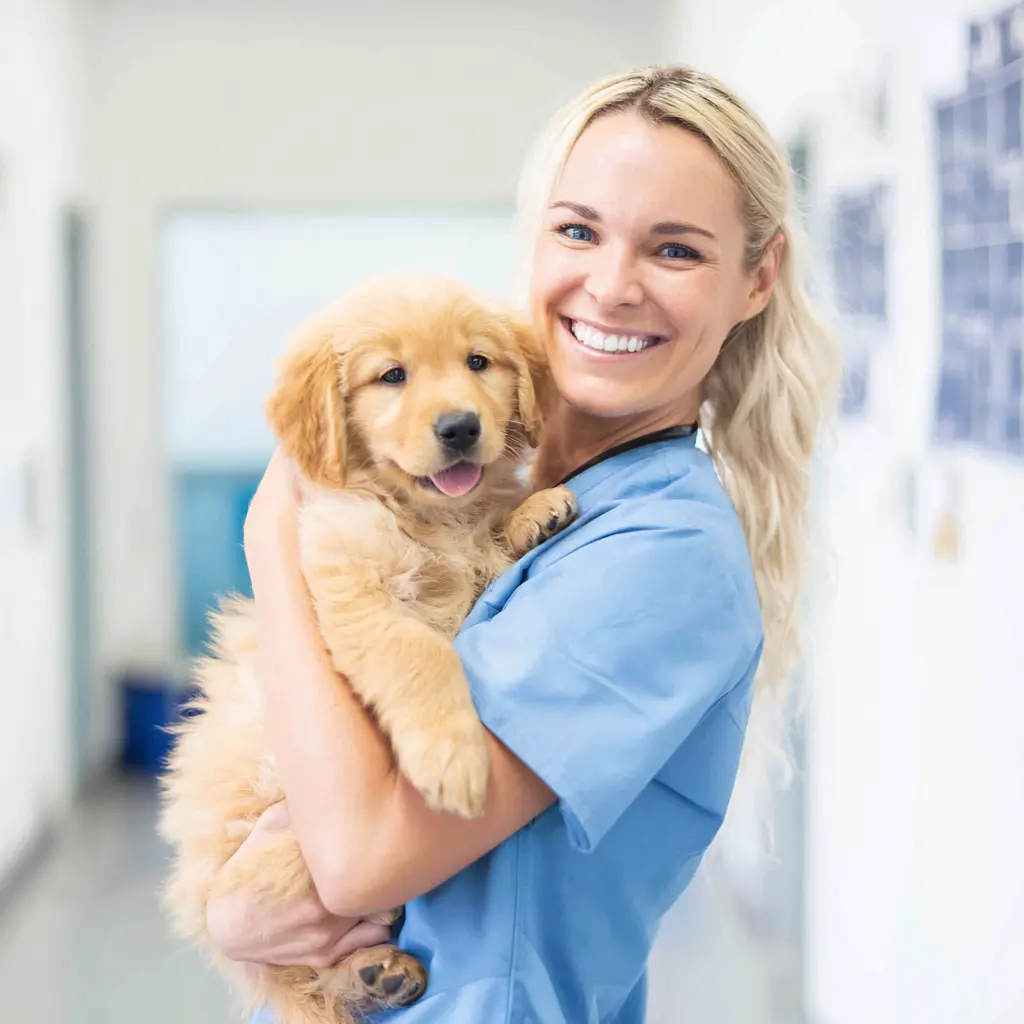 vet tech holdiing puppy bradenton