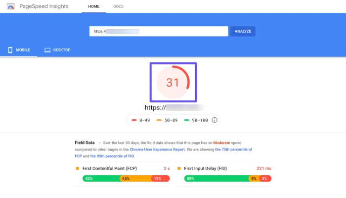Google Pagespeed insights