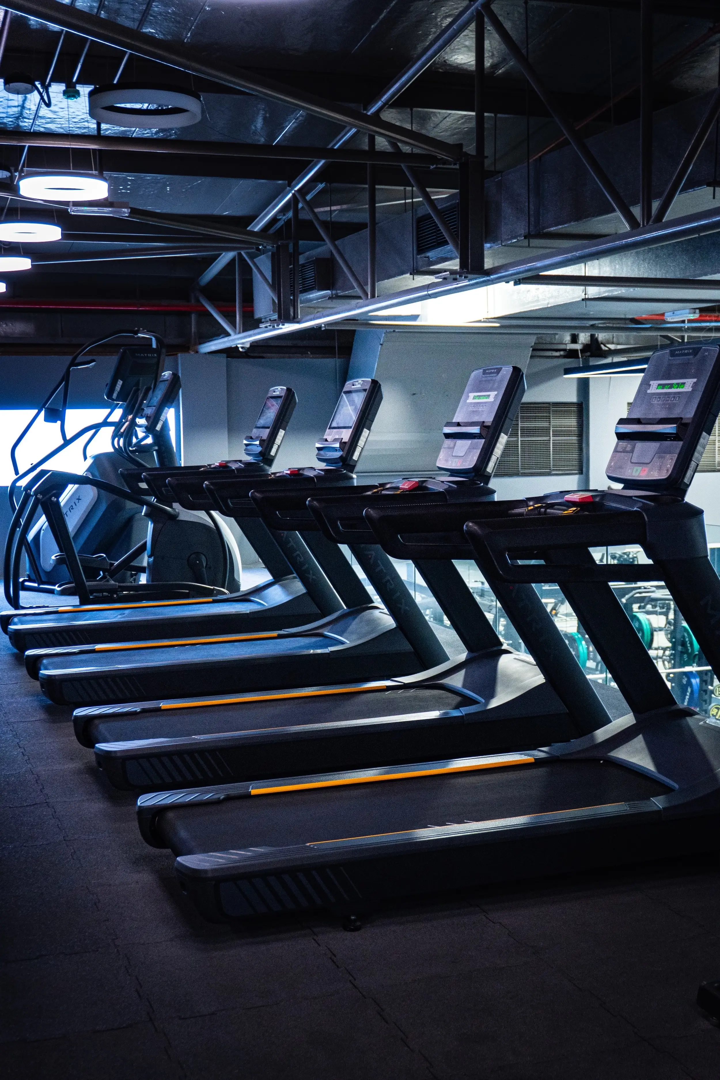 Modern treadmills lined up in the cardio section of The Alpha Club gym.