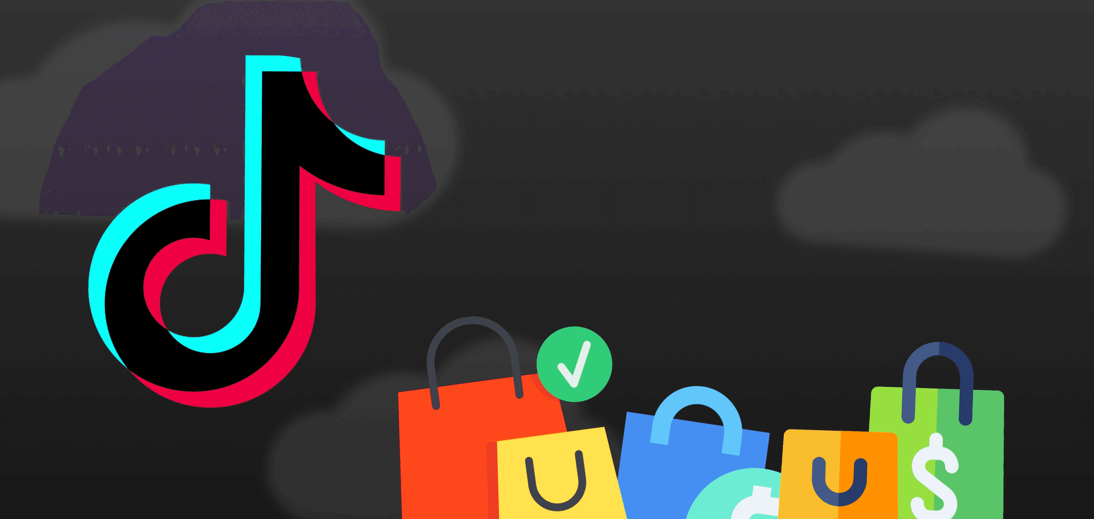 TikTok logo with various shopping bags - Tiktok Shop Requirements