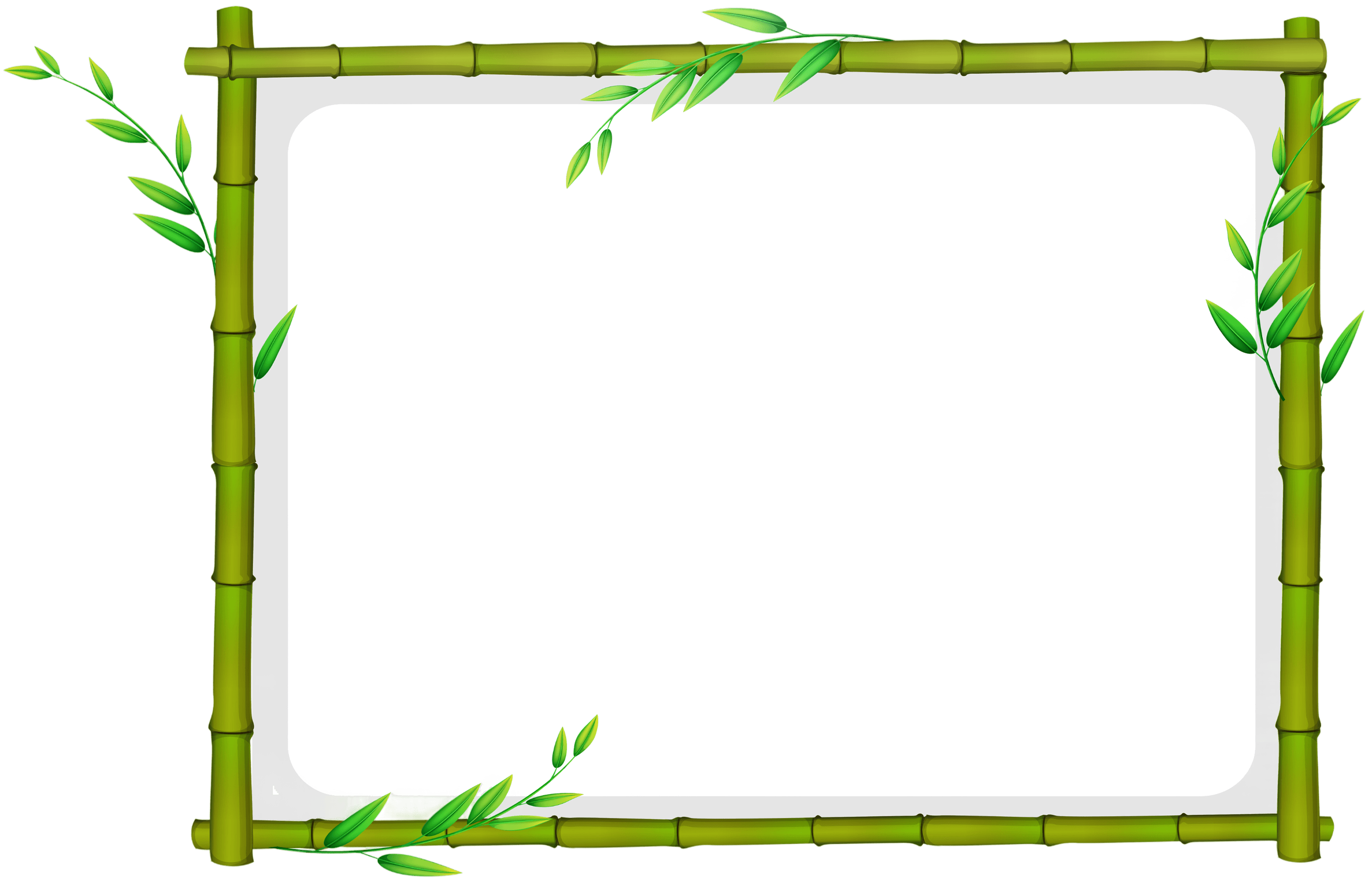 Bamboo frame with green leaves