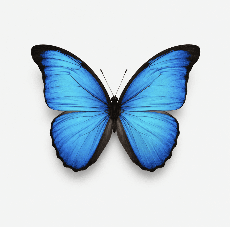 C1 ESL lesson "Chaos Theory, the Butterfly Effect & Mixed Conditionals" — mixed conditionals in hypothetical and historical contexts