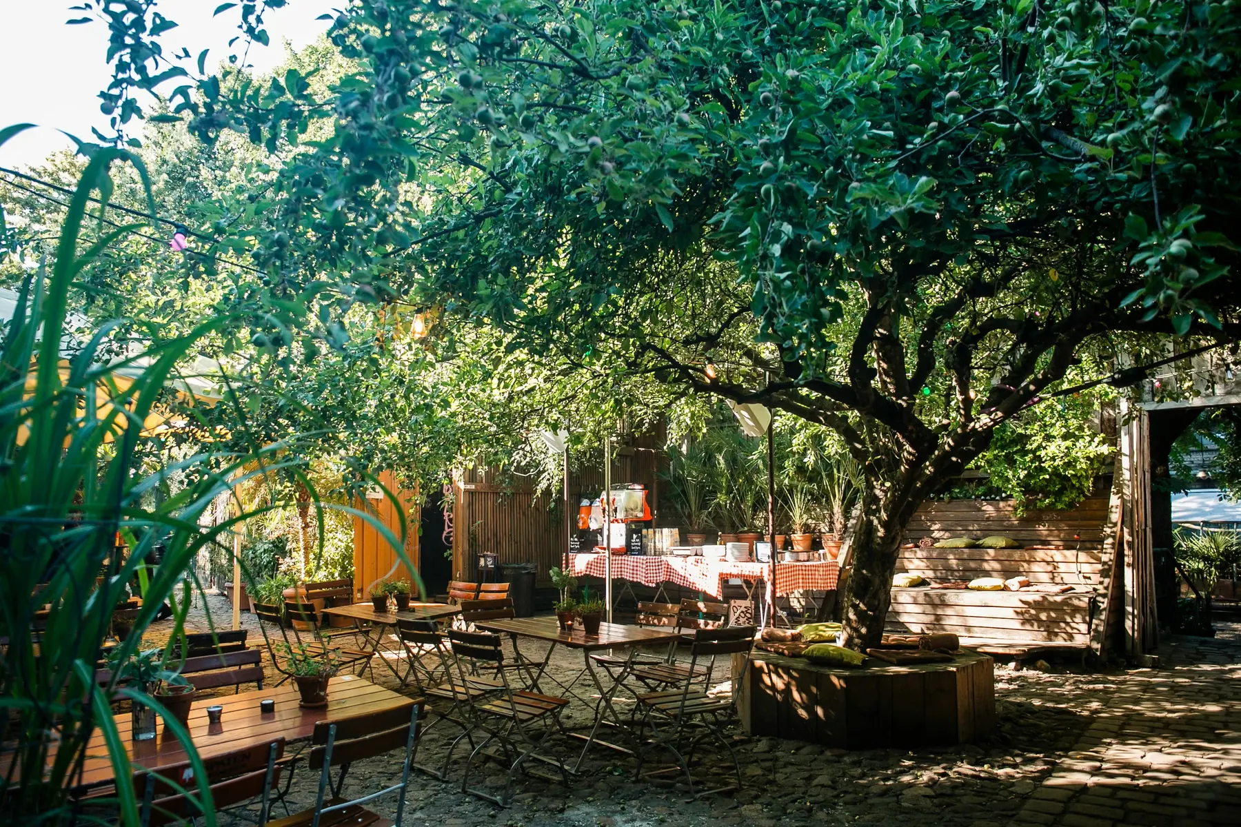 Biergarten mit Tischen unter einem großen Baum an einem Sommertag