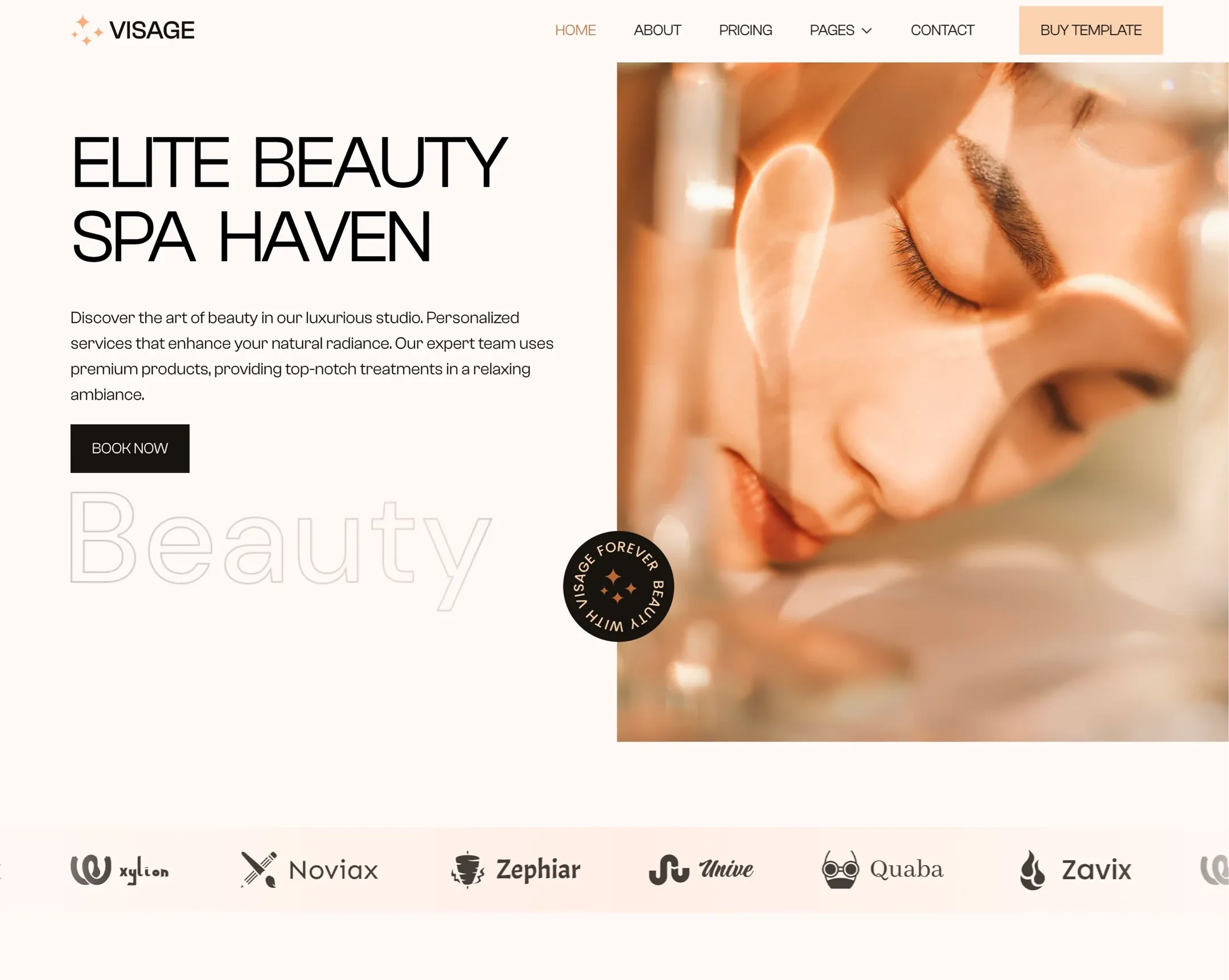 Visage - Beauty Framer Template