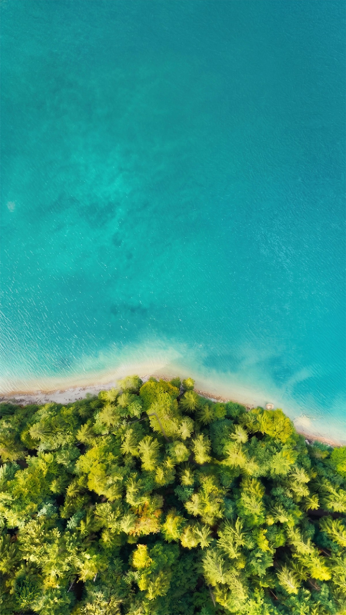 The Earth 