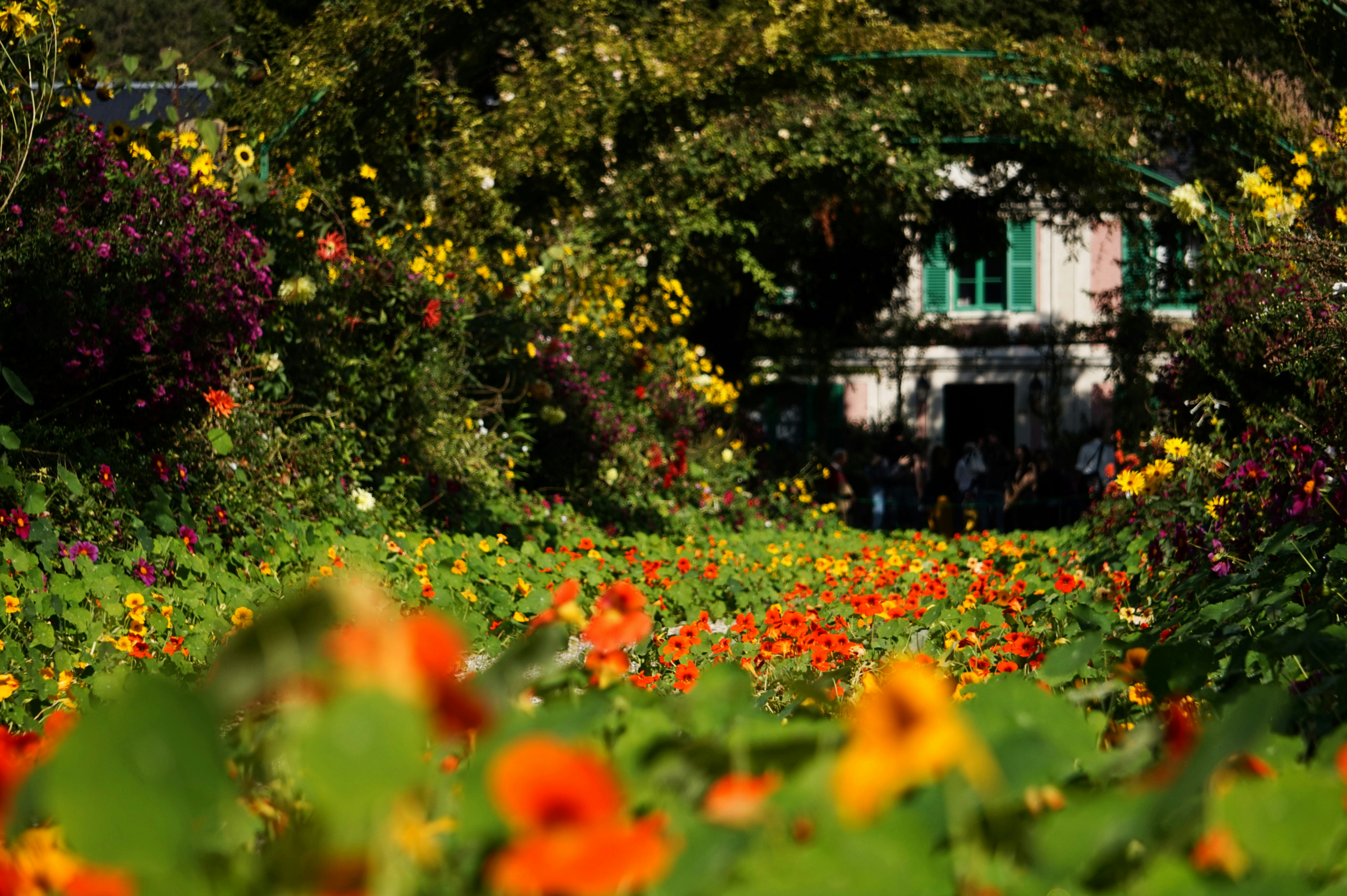 Blooming red and orange flowers in the foreground with Monet's pink house in the background.