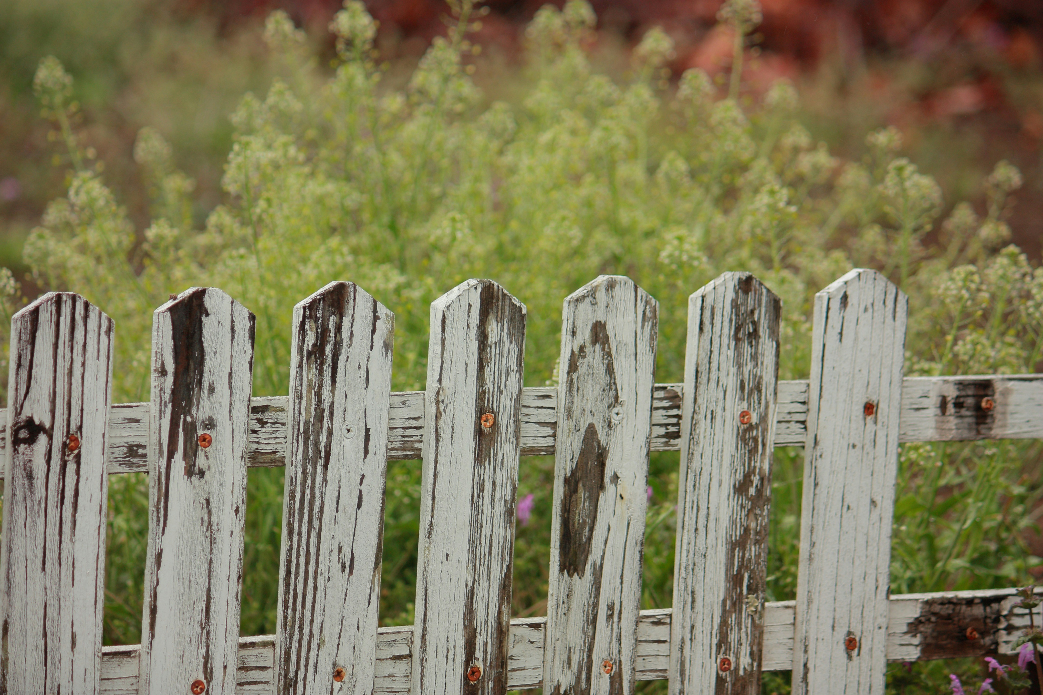 Fence Repair Bellevue: Expert Solutions for Your Fencing Needs