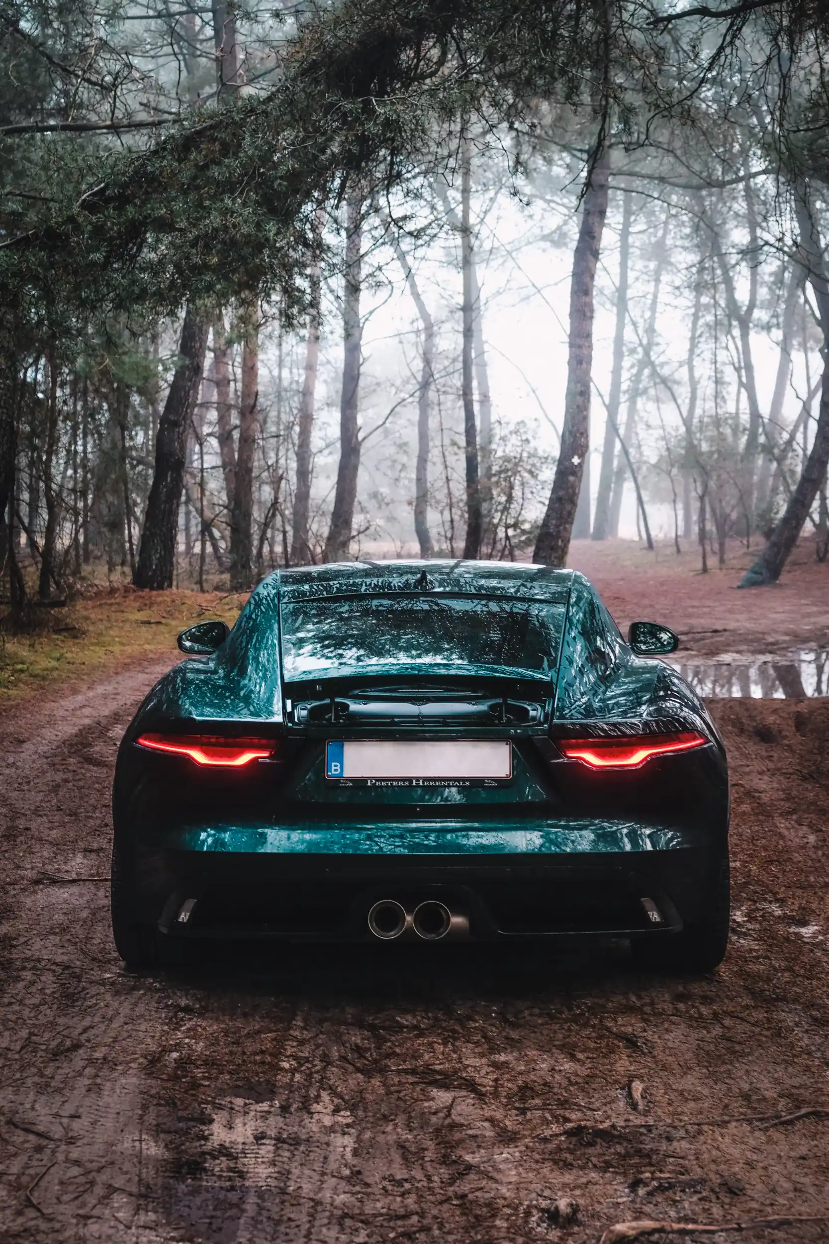 Automotive Photography: British Racing Green Jaguar F-Type in a mysterious forest.