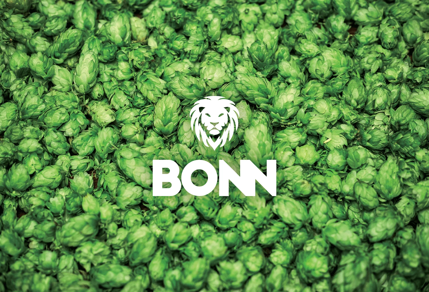 bonn brand design