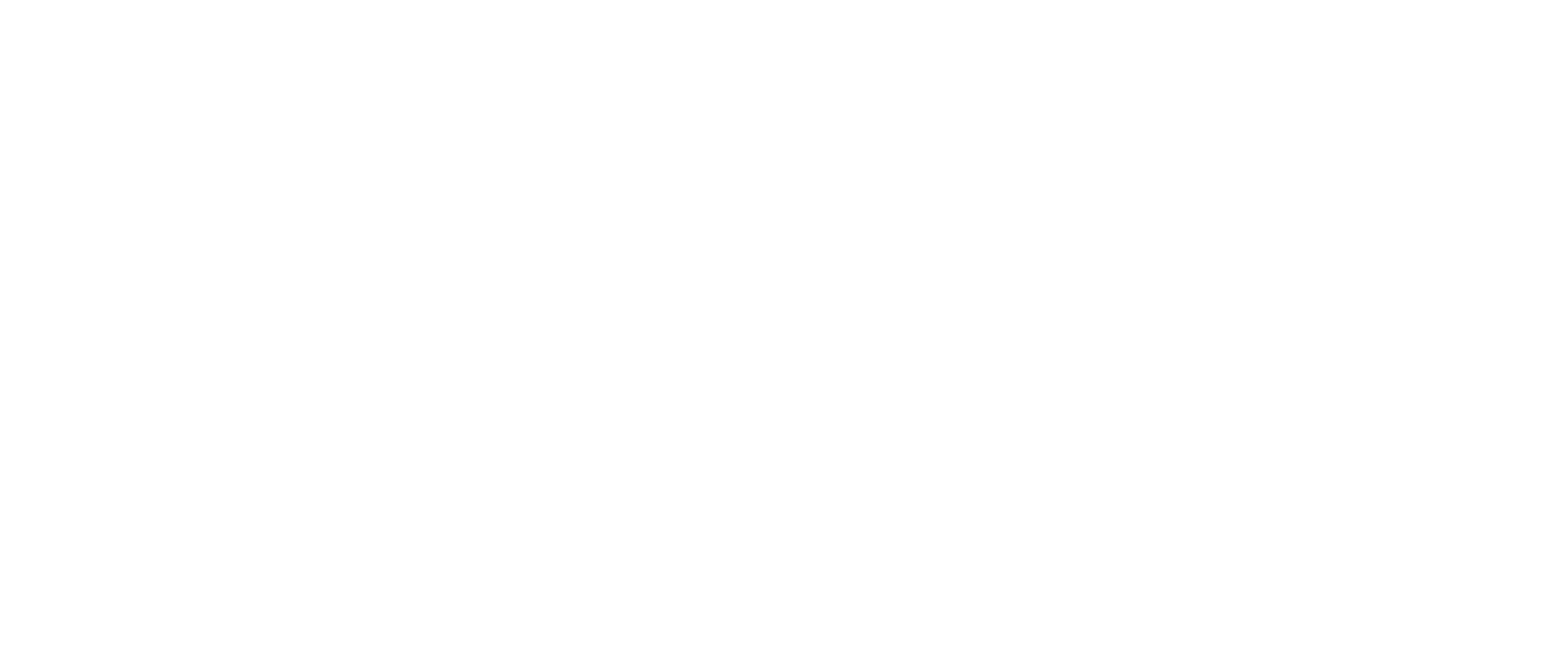 roza consulting logo