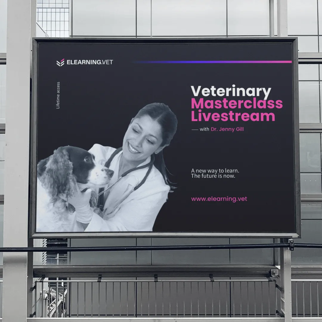 ELEARNING.VET brand photography featuring people in a professional setting website showcase