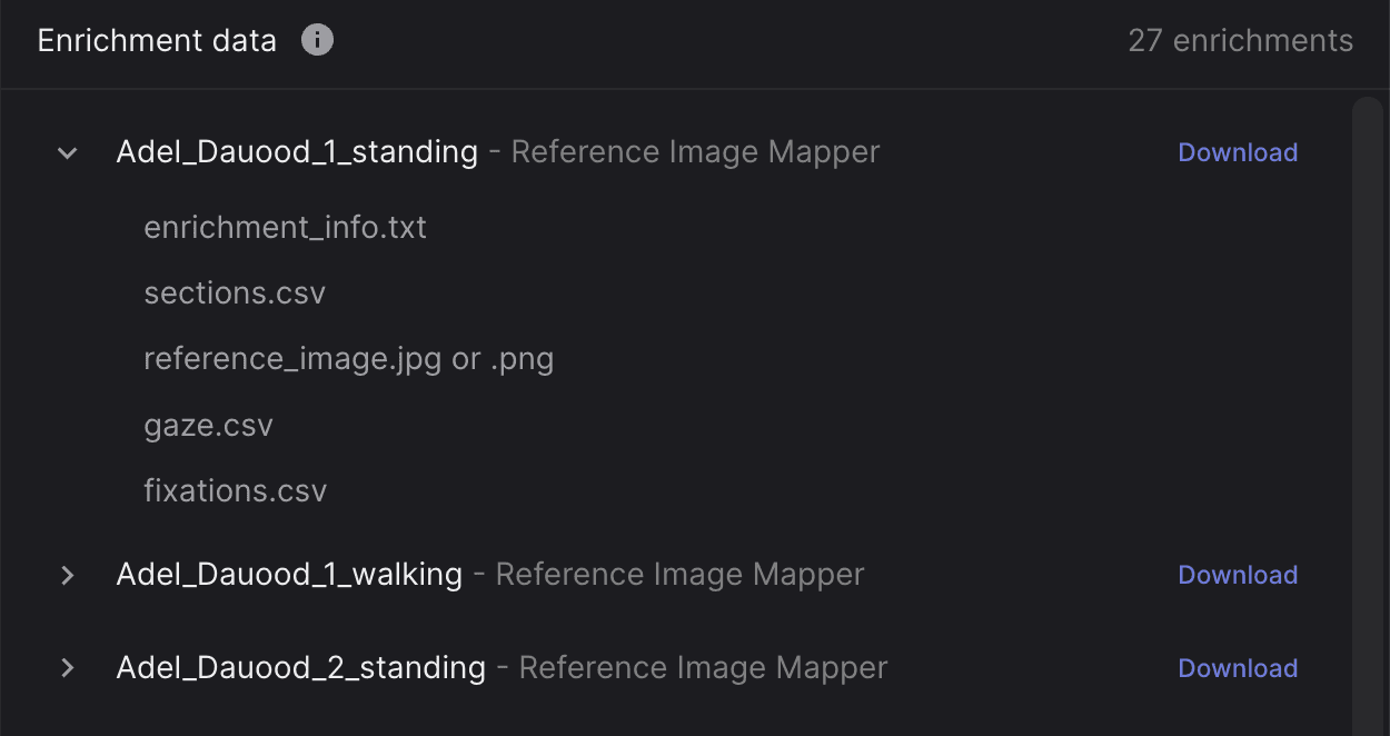 Screenshot of the downloads view.