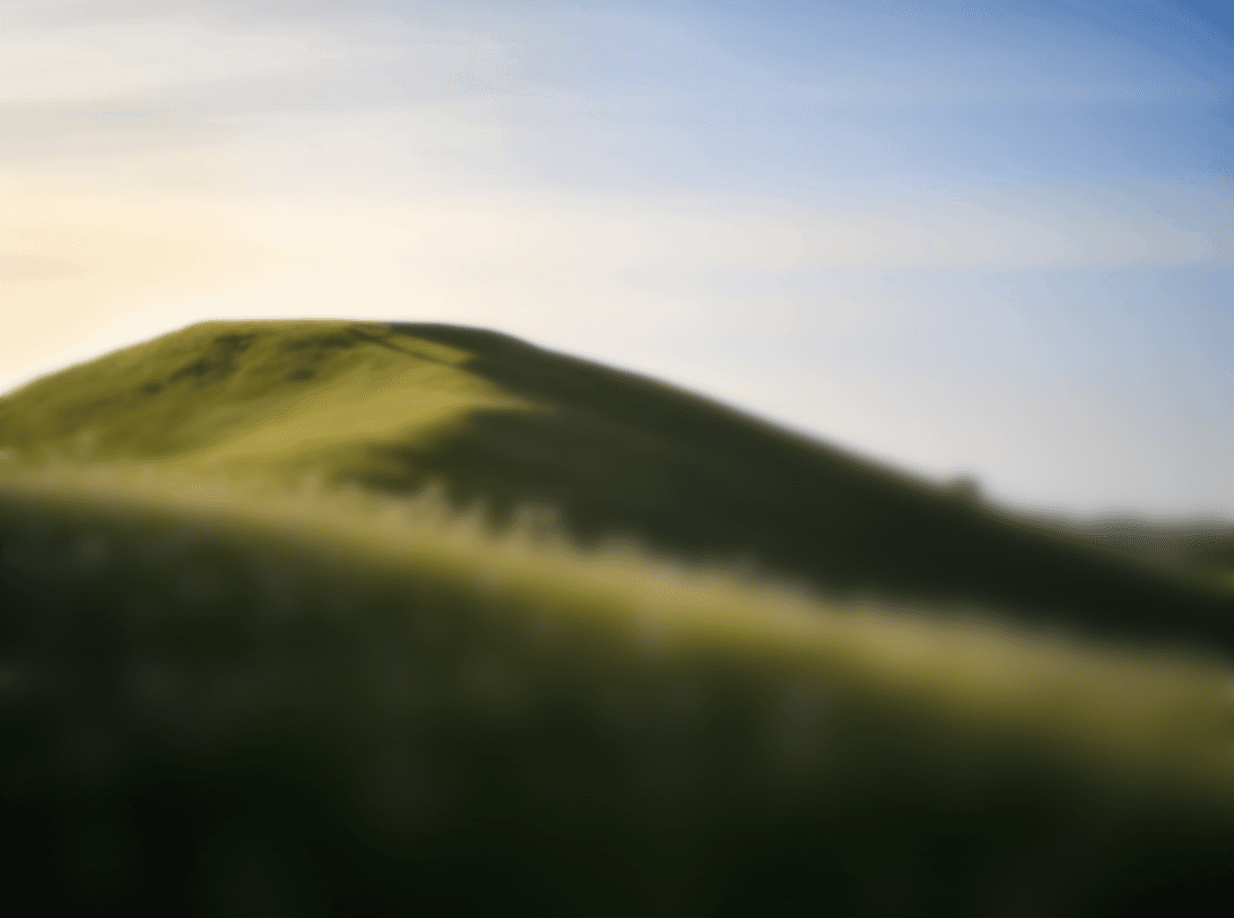 Hill of grass on a sunny blue sky