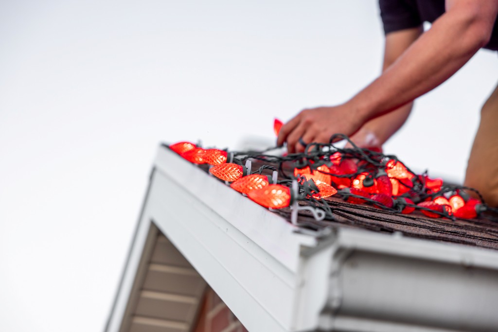 Tree pruning service in Brigham City landscape