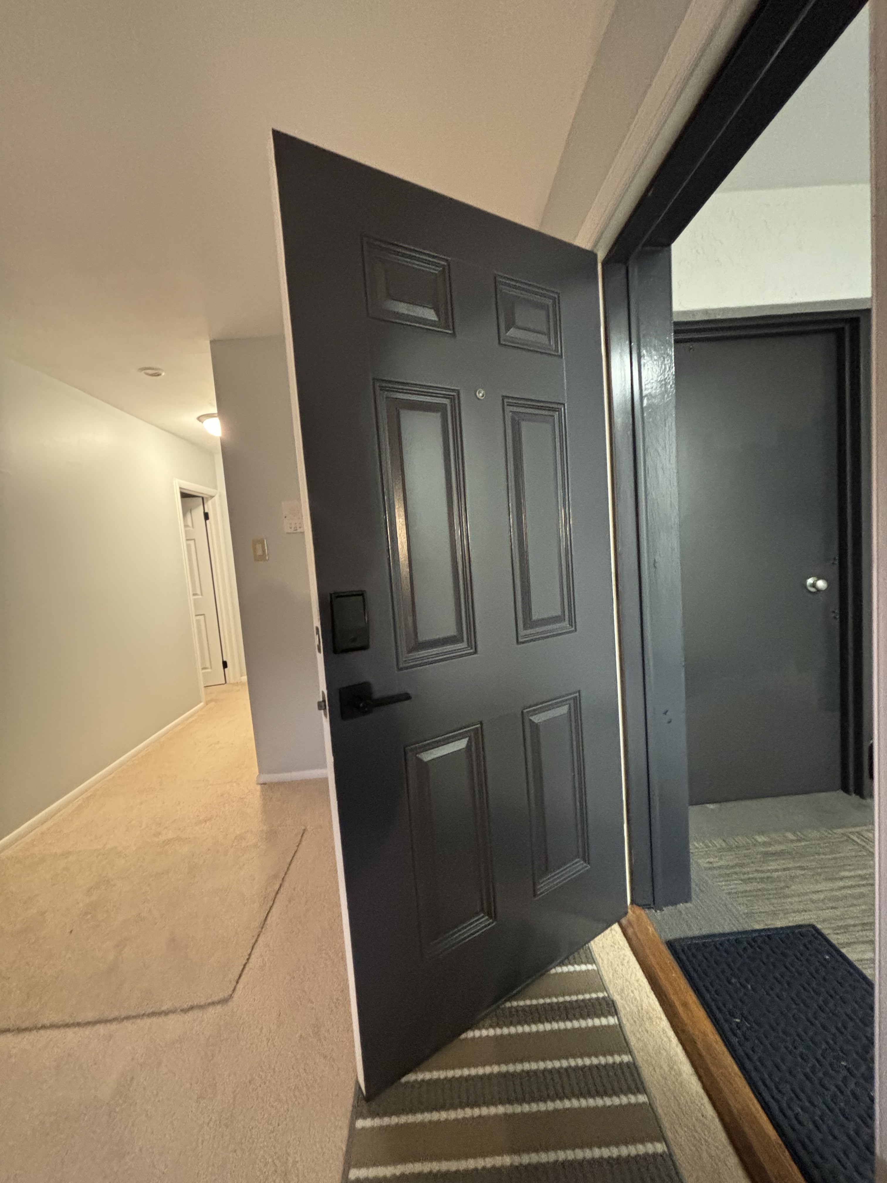 Rockford Rd Front Door Replacement