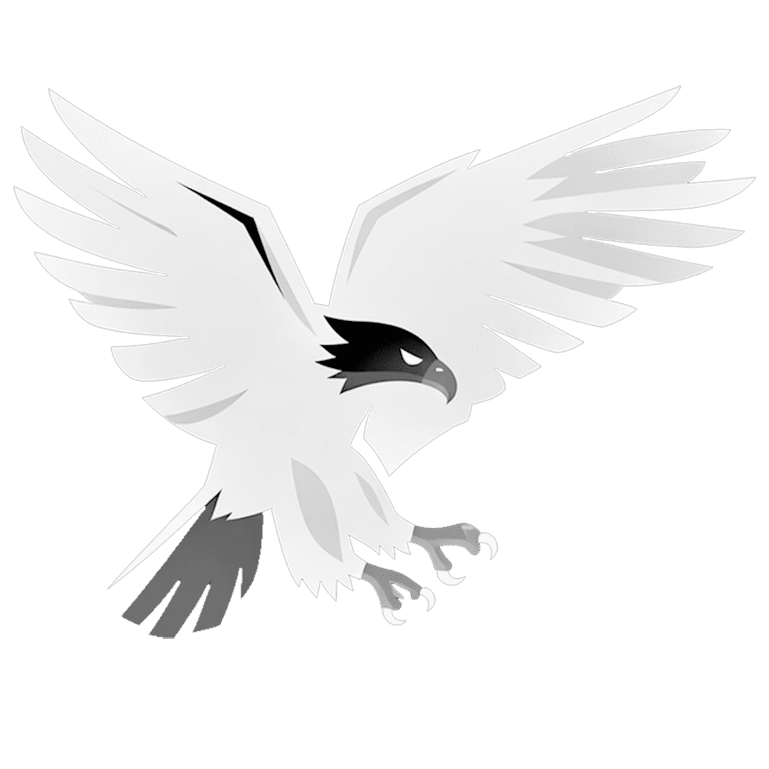 Eagle Eye Design logo — Delta Colorado drafting and design services