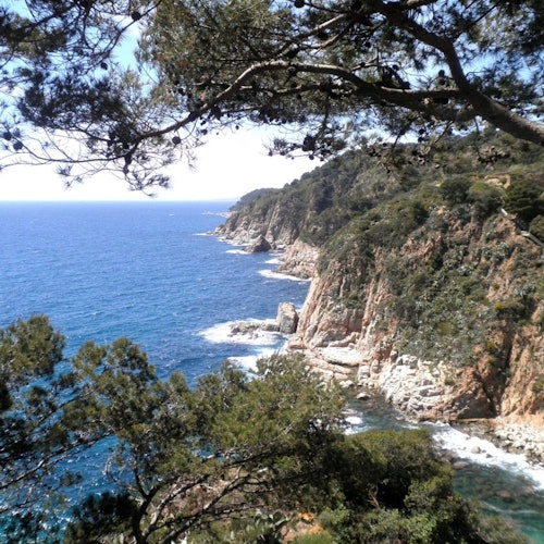 托萨和洛雷特德马尔